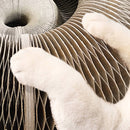 Brinquedo arranhador sanfona para Gatos -  Dump Magic Cat