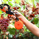 PlantFix® Ferramenta com Fita para Fixar Plantas - Tora Design