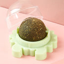 Brinquedo rotacional 360° terapêutico para gatos comestível - Erva Catnip