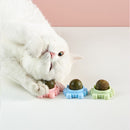 Brinquedo rotacional 360° terapêutico para gatos comestível - Erva Catnip